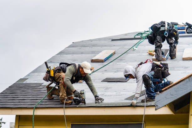 Professional Flat Roof Repair technician working in Lake Forest, IL